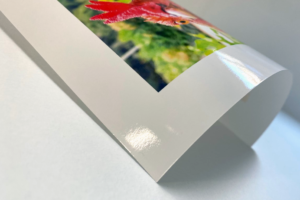 Giclee Photo Gloss