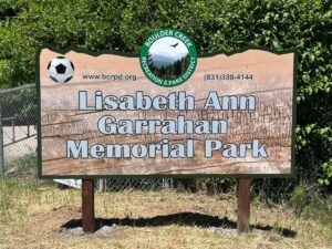 Garrahanparkinstalled3